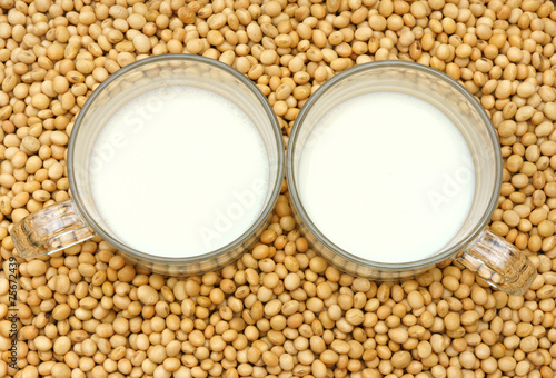 Soybean, soymilk, nutrition beverage photo