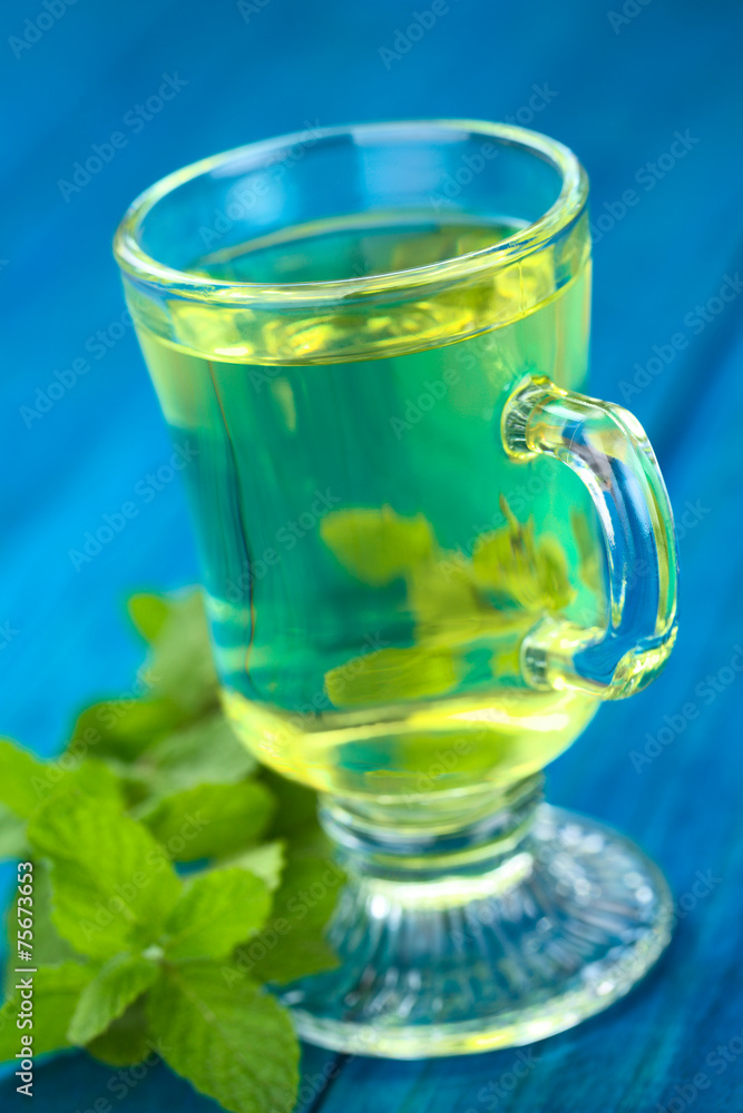 Tea of the Peruvian herb called Muña (lat. Minthostachys mollis) Tea of the Peruvian herb called Muña (lat. Minthostachys mollis)