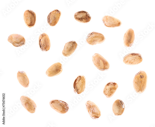 Multiple pistachio shells isolated