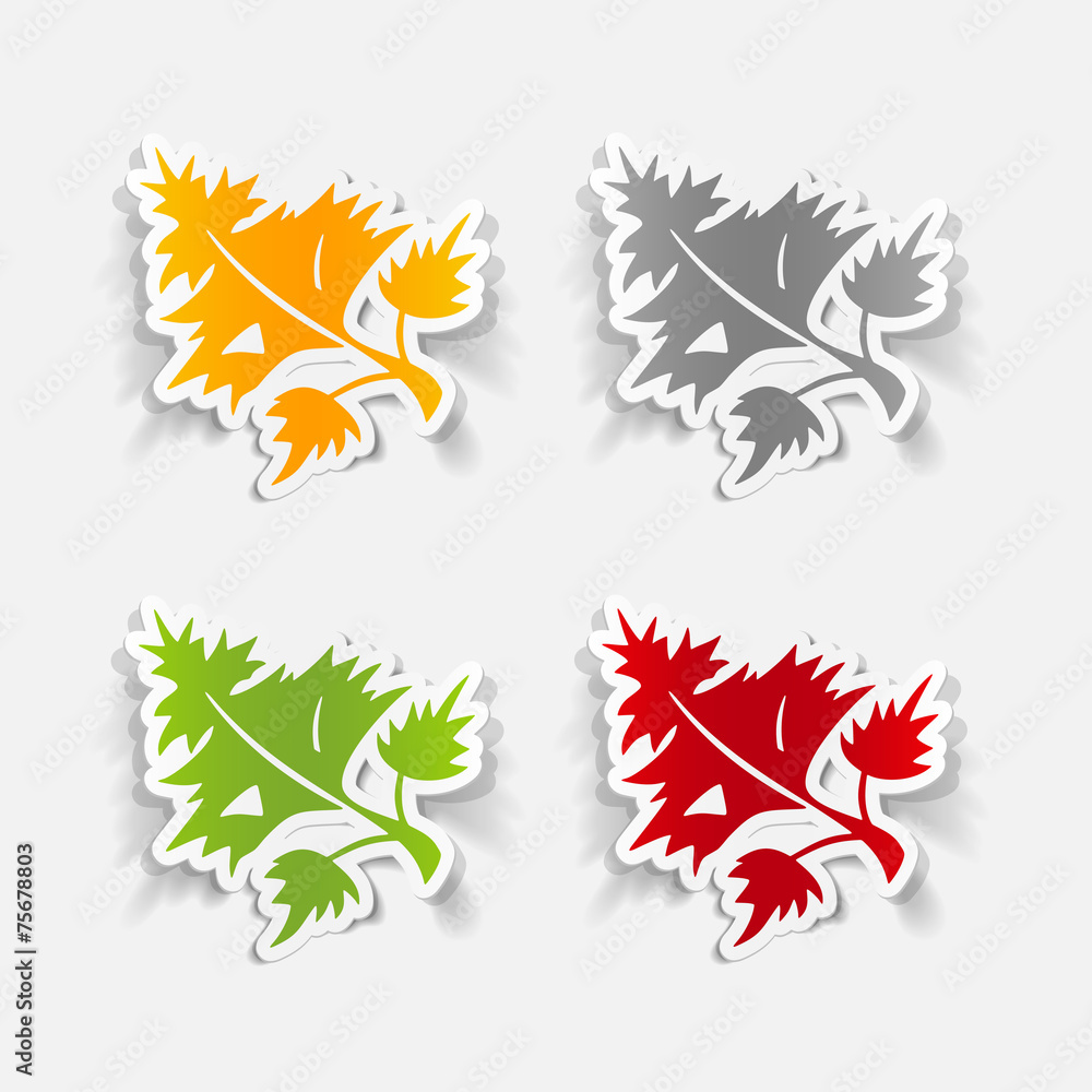 realistic design element: parsley, dill