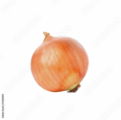 Wallpaper Mural Onion on white background Torontodigital.ca