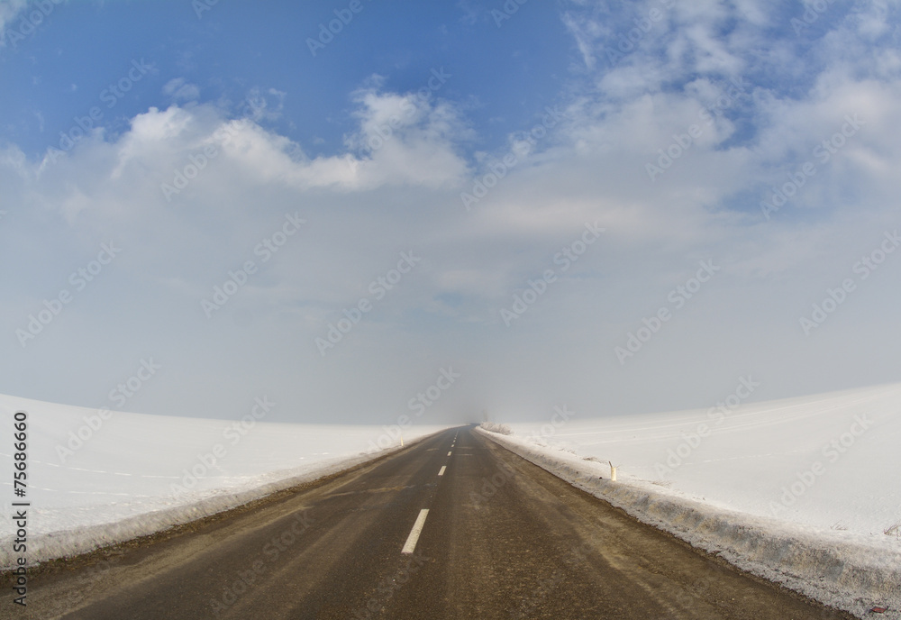Road with fog in the winter morning