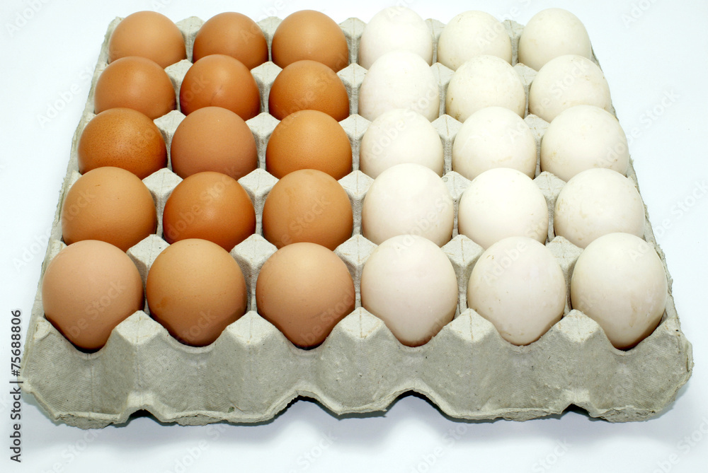Eggs in paper tray isolated on white Eggs in paper tray isolated on white