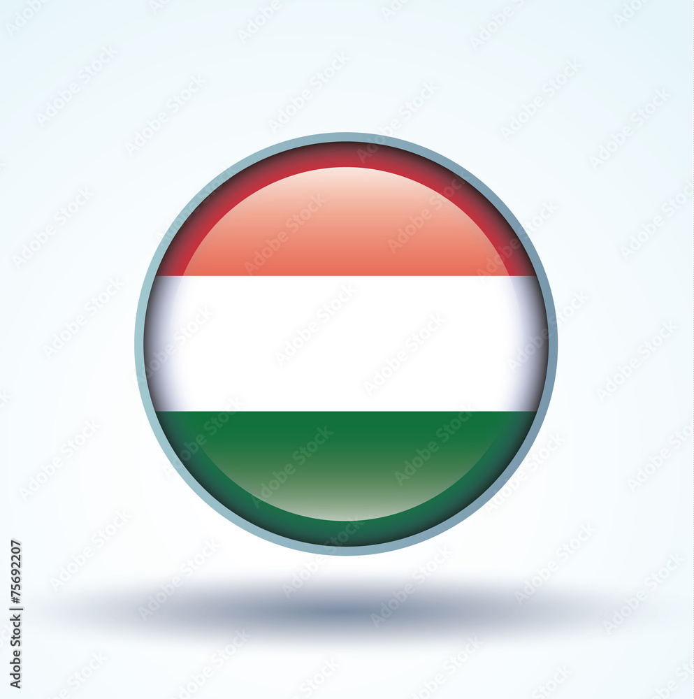 Flag set of hungary, vector illustration Flag set of hungary, vector illustration