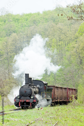 steam freight train (126.014), Resavica, Serbia