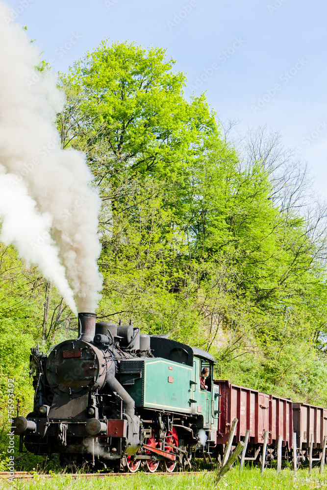 steam freight train, Durdevik, Bosnia and Hercegovina