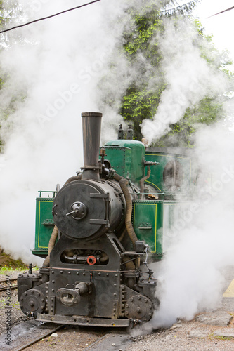 steam locomotive, Museum of Kysuce village, Vychylovka, Slovakia