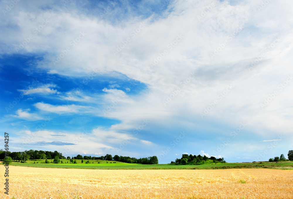 Obraz premium Summer farmland