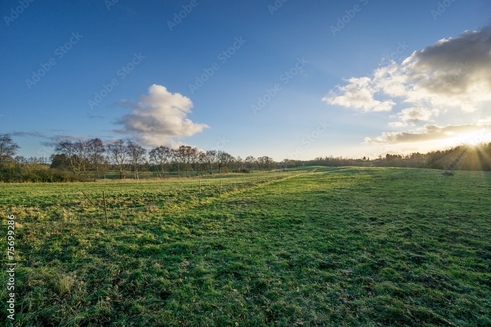 Pastures with electric fence and dirt road in back light Pastures with electric fence and dirt road in back light