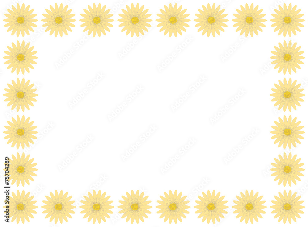 A flower frame made with pastel yellow daisies A flower frame made with pastel yellow daisies
