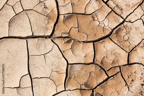 Muddy Cracked Earth