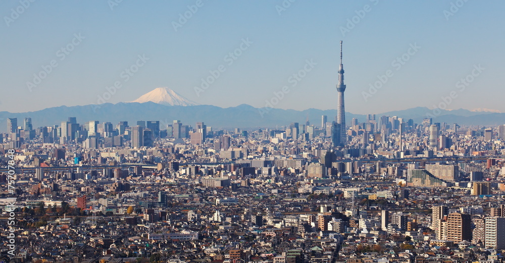 Naklejka premium Tokyo city view with Tokyo skytree and mountain fuji