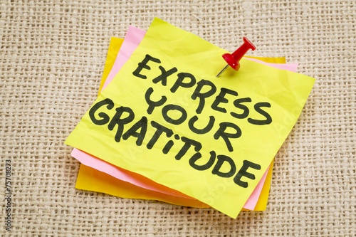Картината върху платно express your gratitude