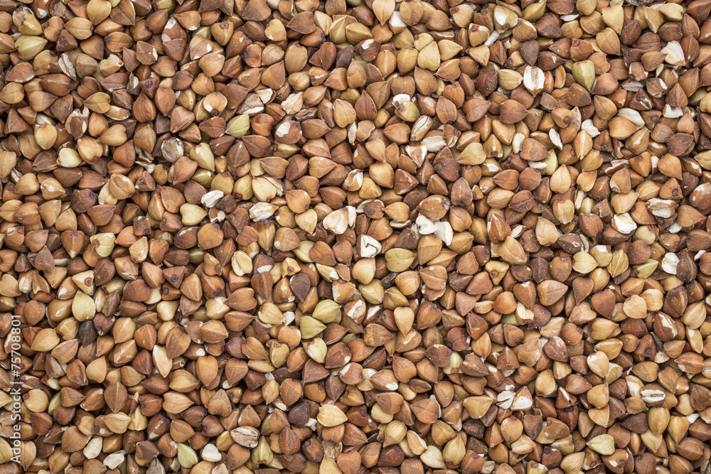 buckwheat kasha bacground buckwheat kasha bacground