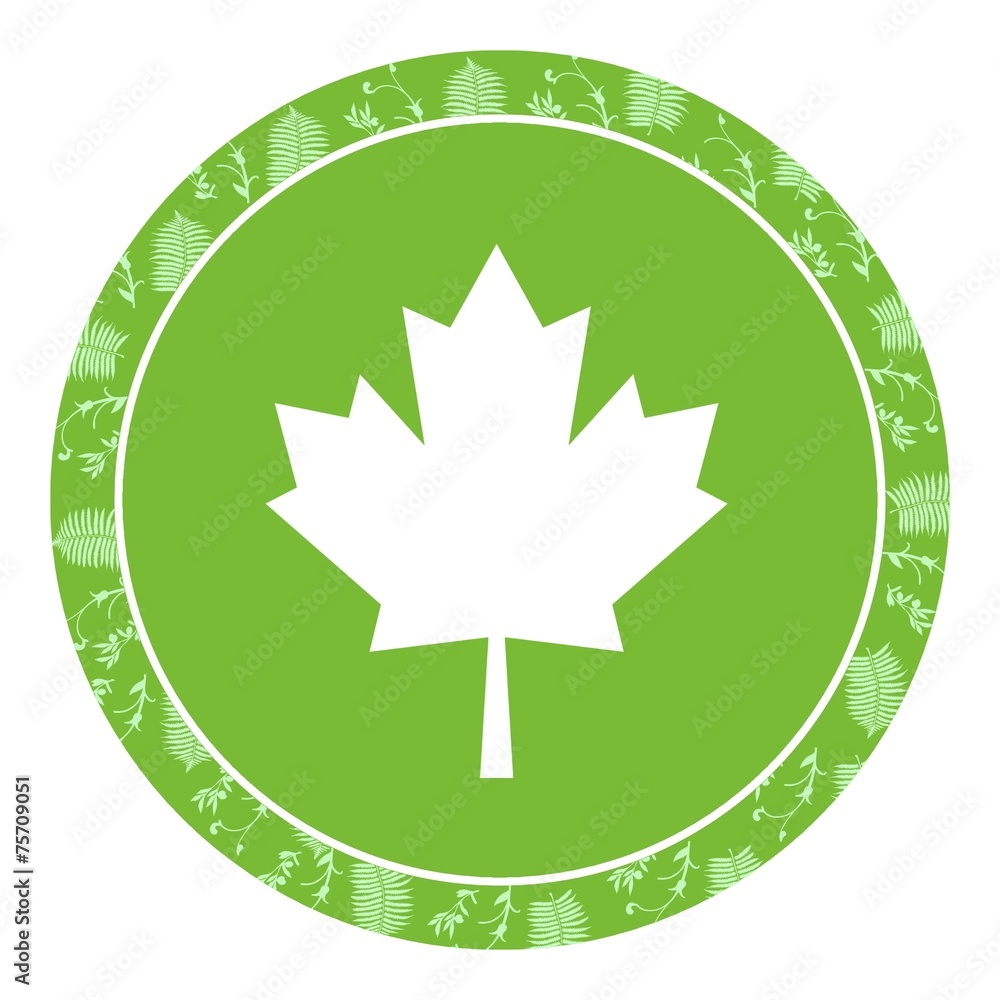 Feuille d'érable dans un panneau vert Feuille d'érable dans un panneau vert