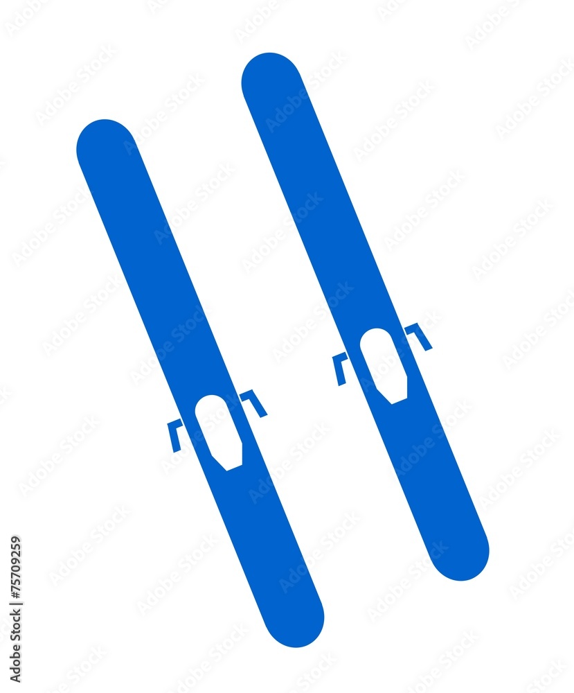 Obraz premium Paire de skis