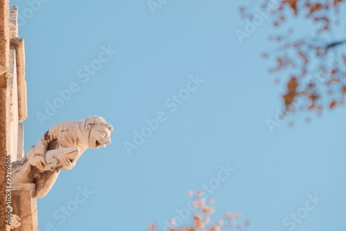 Gargoyle