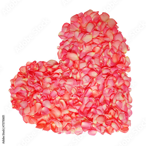 Petals of Roses in Heart Shape isolated on white background