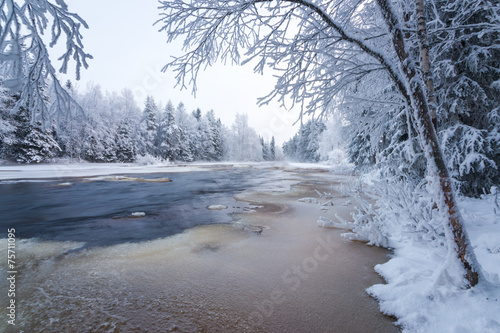 Wallpaper Mural Winter scenery from Finnish nature Torontodigital.ca
