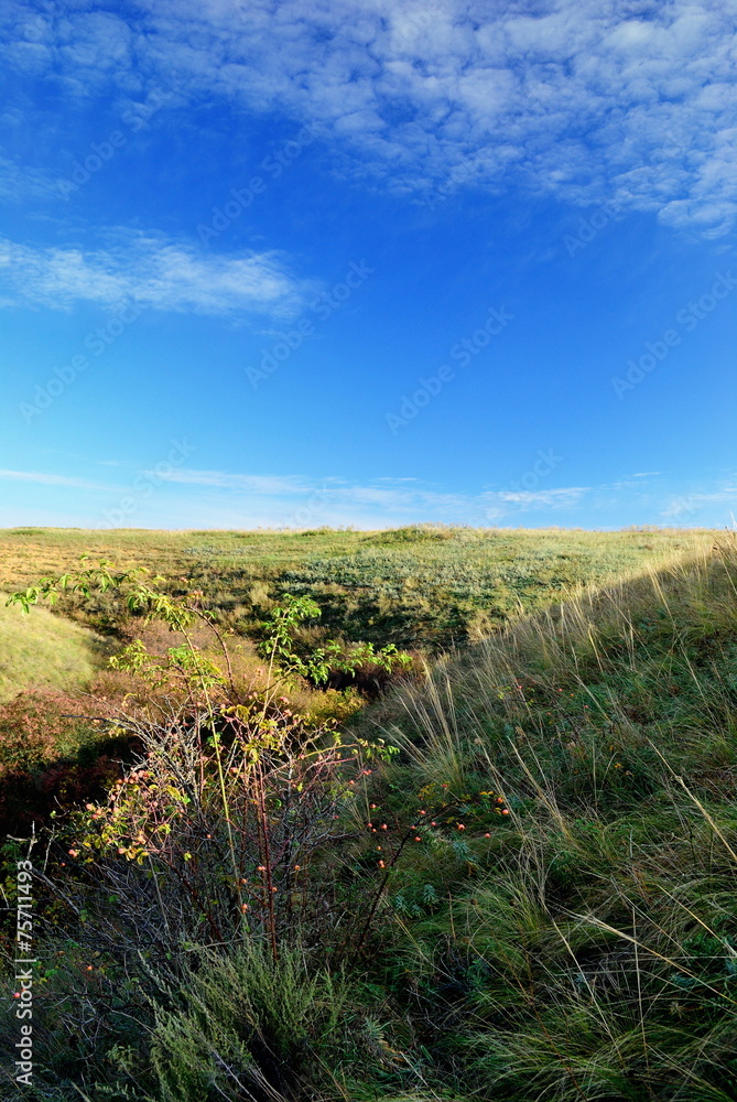 Obraz premium hilly landscape