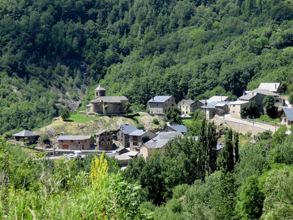Capdella Capdella