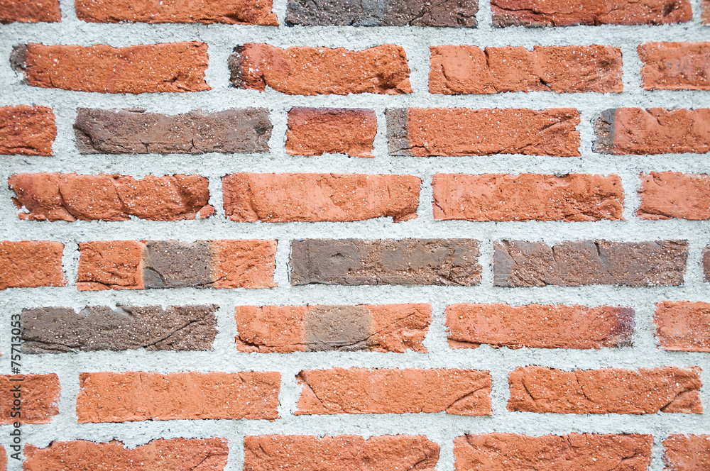 Obraz premium Brick wall texture