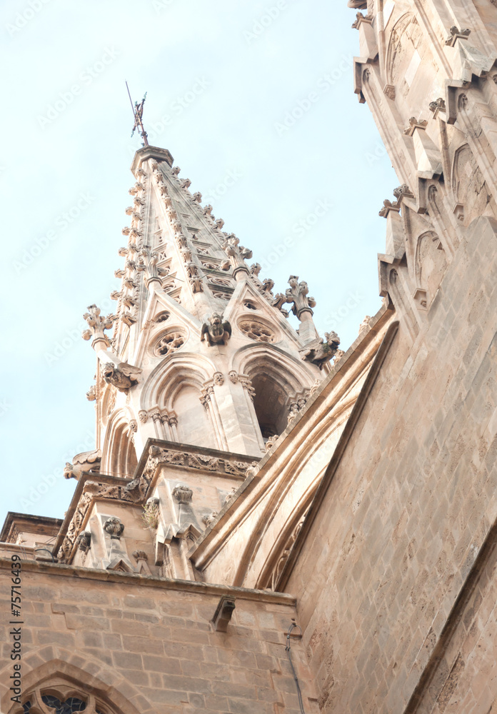 Gothic Cathedral detail, Mallorca, Spain. 