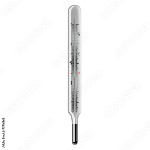 Mercury thermometer. Vector.