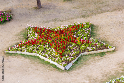 various flower on garden pubic