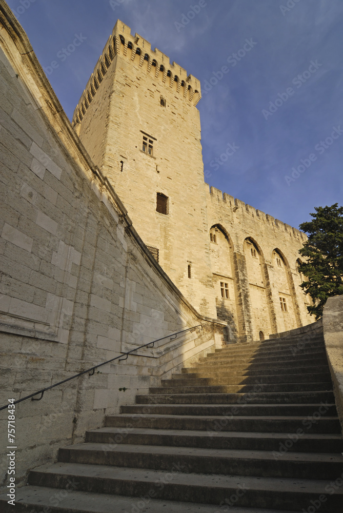 Avignon (Provence, France), Palace of the Popes