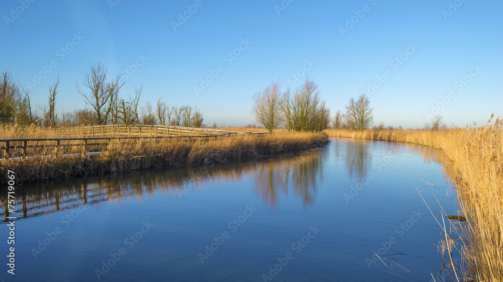 The shore of a lake under a blue sky in winter The shore of a lake under a blue sky in winter