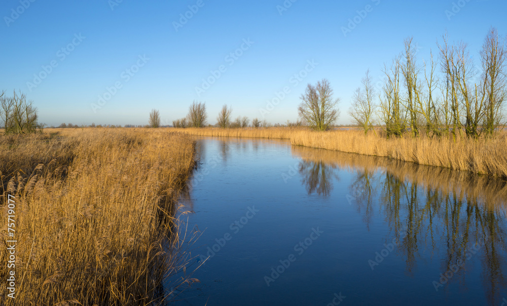 The shore of a lake under a blue sky in winter