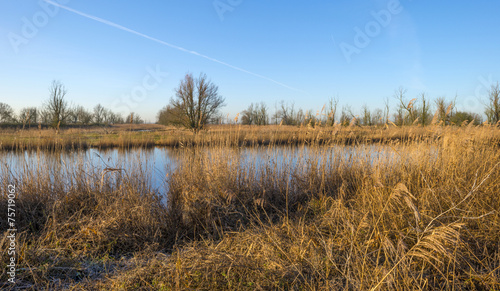 The shore of a lake under a blue sky in winter