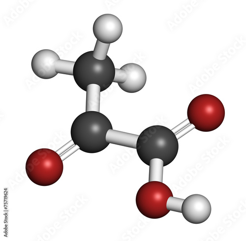 Fotografie Pyruvic acid (pyruvate) molecule.