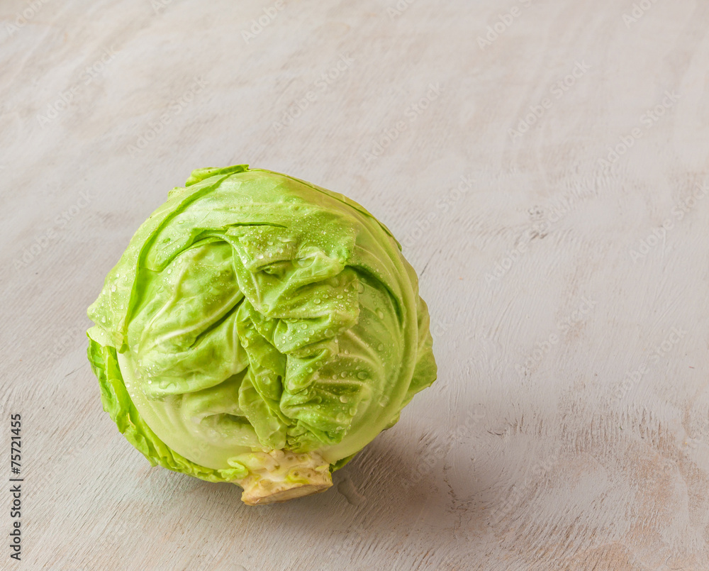 Fototapeta premium Headed out young cabbage