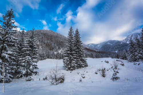 View of snow-covered mountains in winter © shaiith