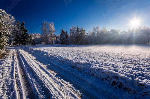 Winter road in the forest