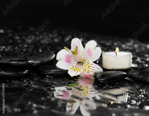 Beautiful orchid with white candle on wet background