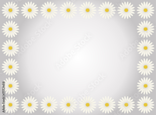 A flower frame with white daisies in gray background © yumid
