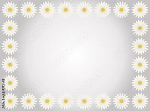 A flower frame with white daisies in gray background