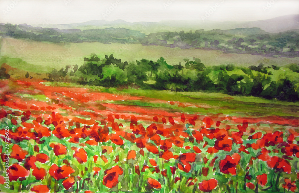 A field of poppies.