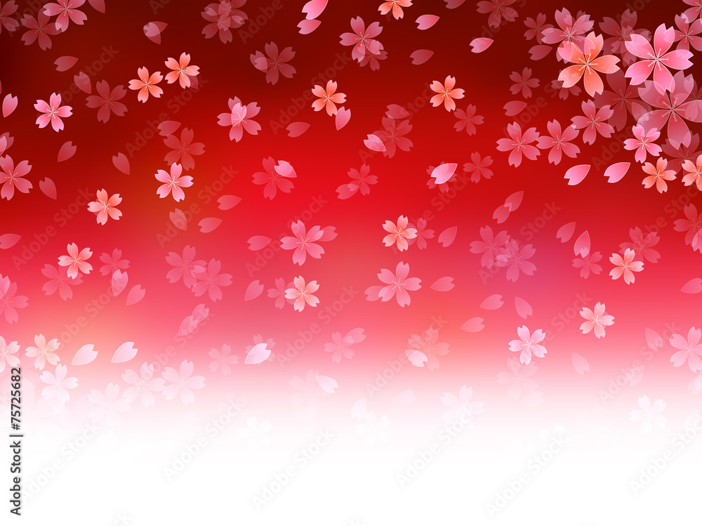 桜 花 背景 桜 花 背景