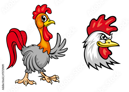 Cartoon colorful roosters