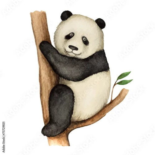 Naklejka na ścianę Panda