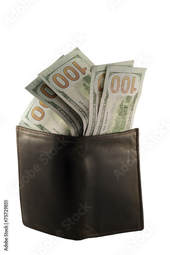 Dollar banknotes in leather wallet