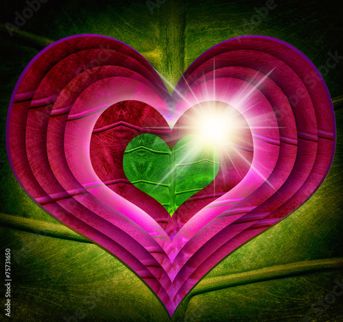 Green leaf  Heart  Protecting world leaves   ECO green energy
