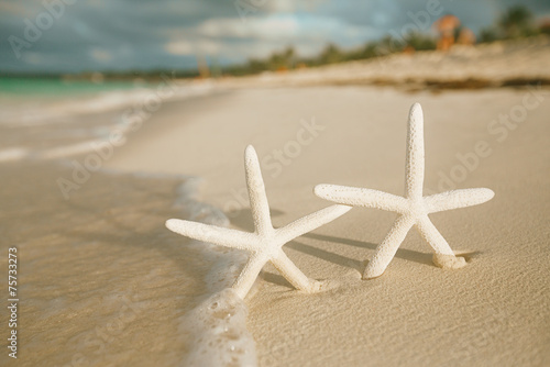 white starfish on white sand beach  with ocean sky and seascape