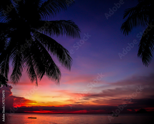 Colorful sunset with palm tree silhouette at beach - Malaysia photo