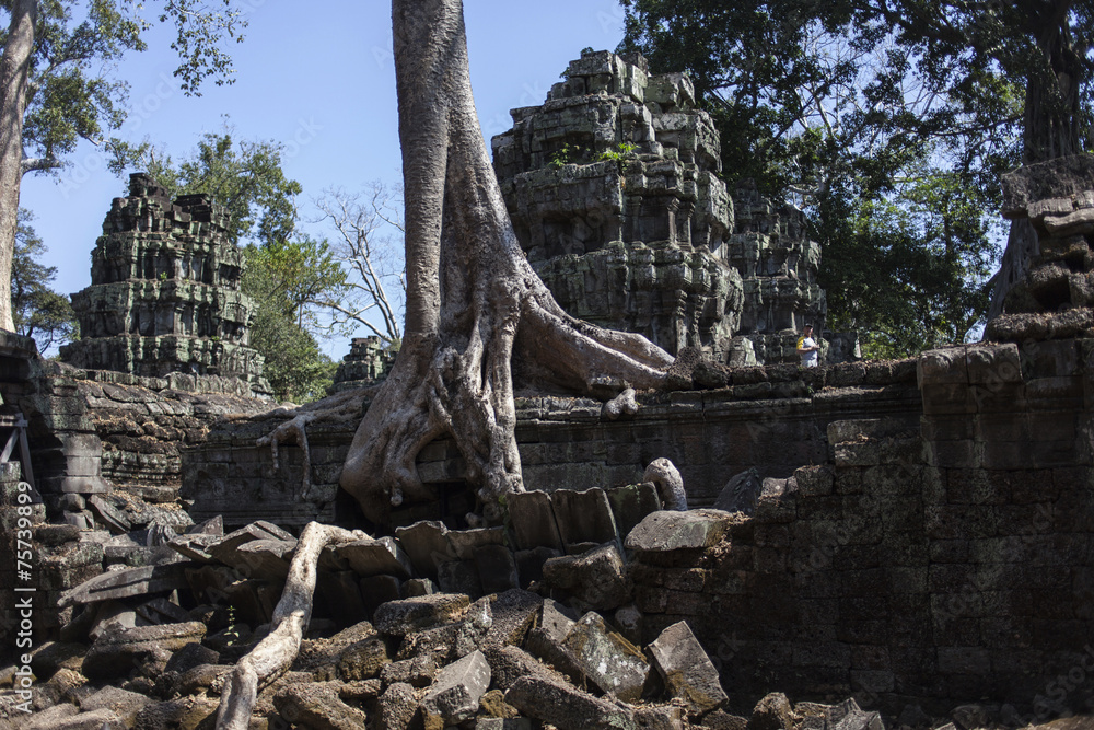 Fototapeta premium Cambodia, Angkor Wat