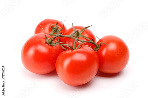branch of tomatoes